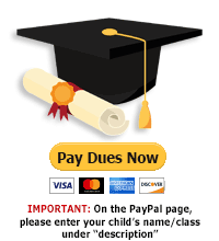 paynow-paypal-button